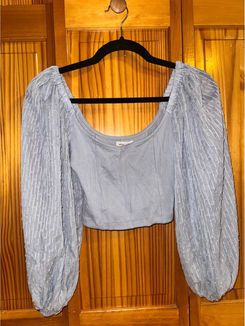 Urban Outfitters light blue long sleeve crop top